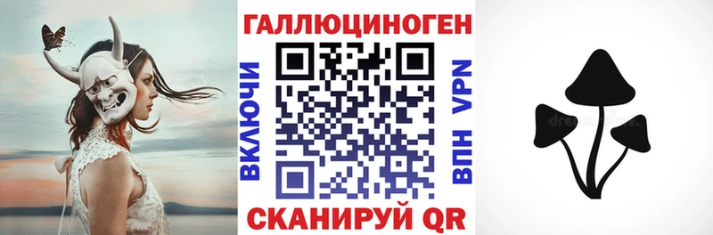 закладки  Павловская  Галлюциногенные грибы прущие грибы 