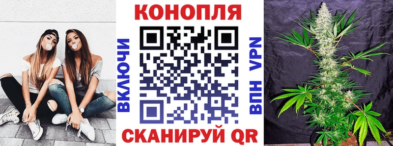 Шишки марихуана сатива Павловская